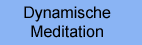 Dynamische Meditation
